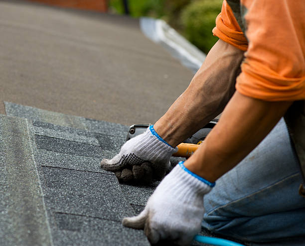 Best Roof Repair Specialists  in Atkins, IA